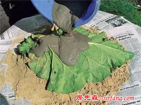 哪些材料可以制作花盆？有什么好方法？