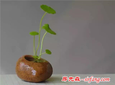 哪些材料可以制作花盆？有什么好方法？