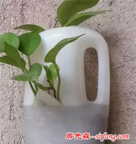 哪些材料可以制作花盆？有什么好方法？