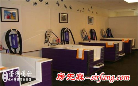 郑州宠物美容店设计公司