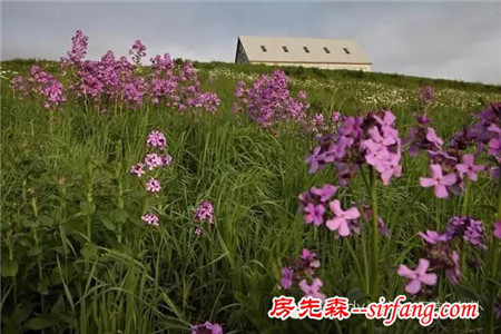 美宿面朝大海，春暖花开