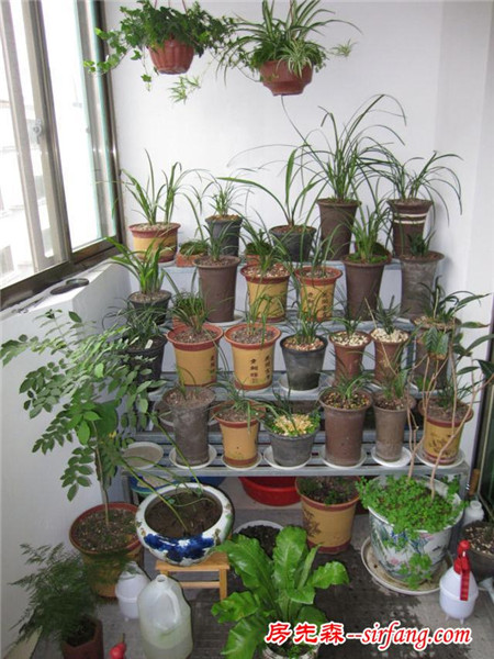 家庭養(yǎng)花：盆花安全越冬的技巧，讓寒冬不再傷害嬌花
