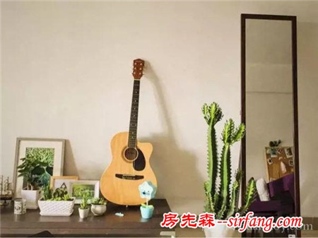 秋冬季就适合养这些方便打理不折腾的植物！