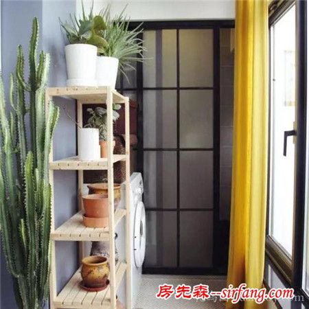 秋冬季就适合养这些方便打理不折腾的植物！