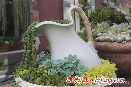 8款别致花卉庭院，都成妖精了！