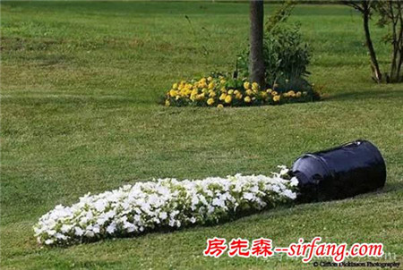 8款别致花卉庭院，都成妖精了！