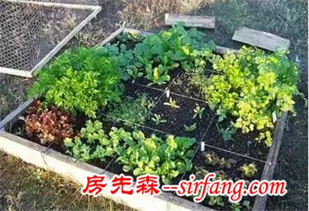 家里這10樣東西這么有用，后悔丟了，現(xiàn)在都想哭！