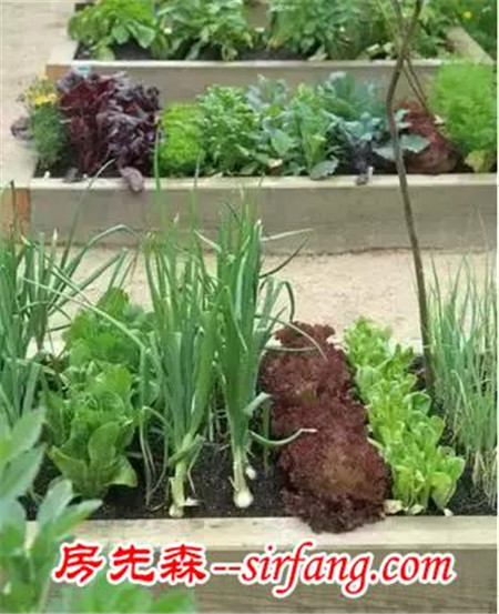 家里這10樣東西這么有用，后悔丟了，現(xiàn)在都想哭！