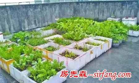 家里這10樣東西這么有用，后悔丟了，現(xiàn)在都想哭！