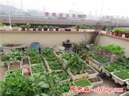 家里這10樣東西這么有用，后悔丟了，現(xiàn)在都想哭！