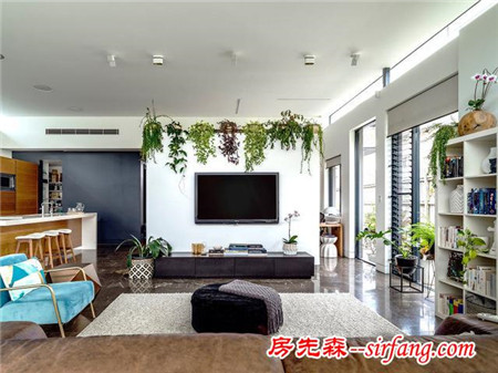 充滿植物與陽光氣息的房子