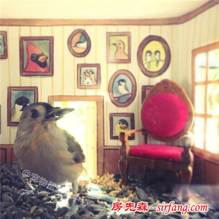 女子巧手打造可愛小屋，歡迎小客人來用餐！