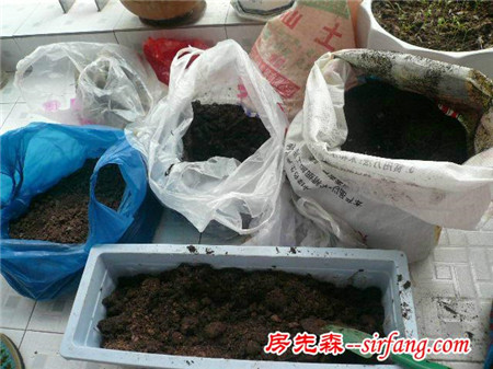 鄰居給PVC管鑿個洞就敢在陽臺上種菜，看完我也想要一個！