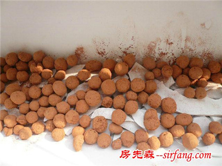 鄰居給PVC管鑿個洞就敢在陽臺上種菜，看完我也想要一個！