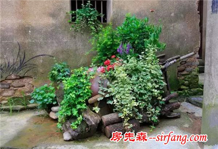 浙江这个村靠变废为宝，让诗人也膜拜！