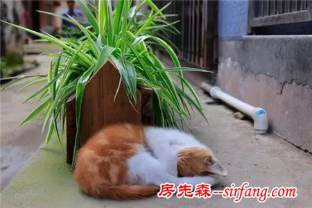 浙江这个村靠变废为宝，让诗人也膜拜！