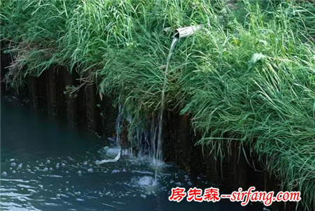 浙江这个村靠变废为宝，让诗人也膜拜！