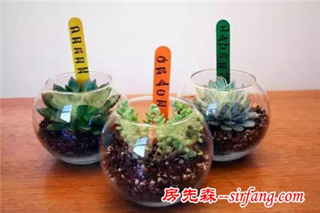 浙江这个村靠变废为宝，让诗人也膜拜！