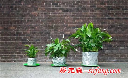 可以和植物一起“长大”的折纸花盆，你见过吗？