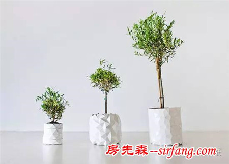 可以和植物一起“长大”的折纸花盆，你见过吗？