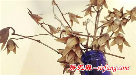 森林手工 | 初冬香椿果枝装饰