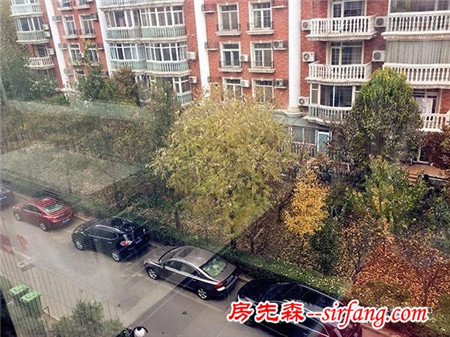 森林手工 | 初冬香椿果枝装饰