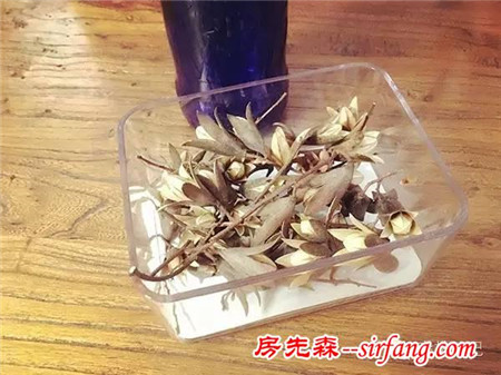 森林手工 | 初冬香椿果枝装饰