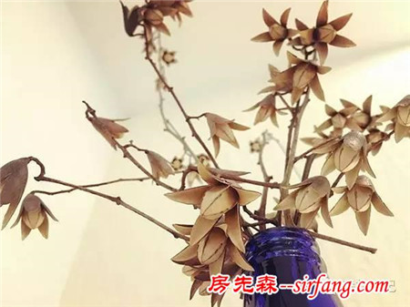 森林手工 | 初冬香椿果枝装饰