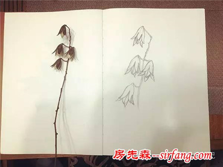 森林手工 | 初冬香椿果枝装饰