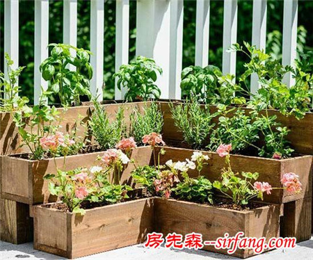 DIY香草花园，有趣而实用！