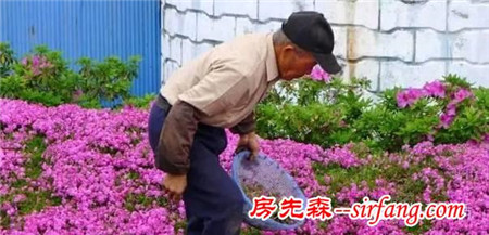 宜植爱人物｜揭秘：一个日本老人怎样感动了全球