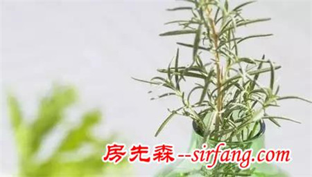 家中绿植这样摆 有利植物生长更有利身心