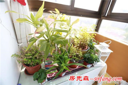 好声音学员的出租房 爆改之后大变样