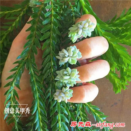 是奇葩还是文艺？多肉植物也能做成美甲？