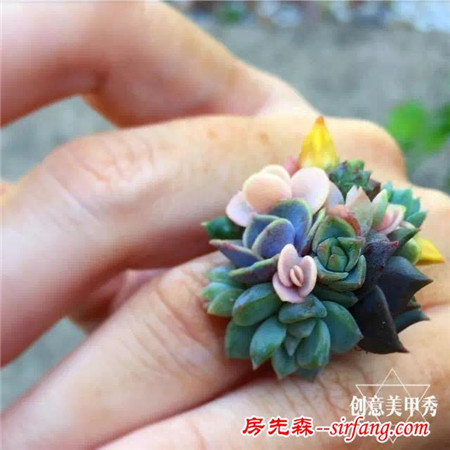 是奇葩还是文艺？多肉植物也能做成美甲？