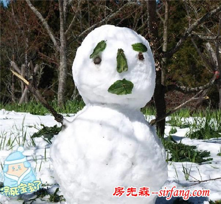 这么多款雪人 你爱哪款啊？