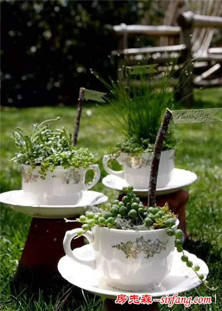 几颗小草，就能让茶杯变成精致绝色的盆栽