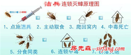 什么蟑螂药能根除蟑螂