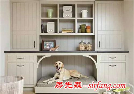 这年头，人住的比狗都差！狗狗都有豪宅了