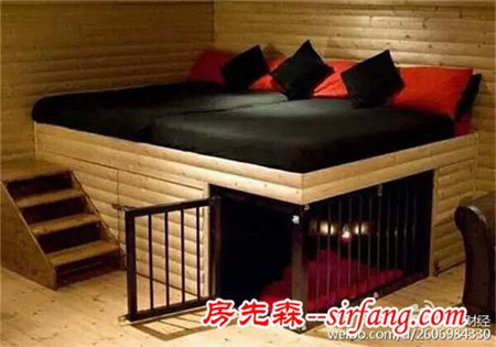 这年头，人住的比狗都差！狗狗都有豪宅了
