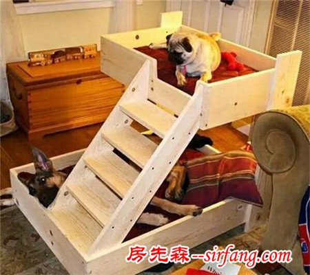 这年头，人住的比狗都差！狗狗都有豪宅了