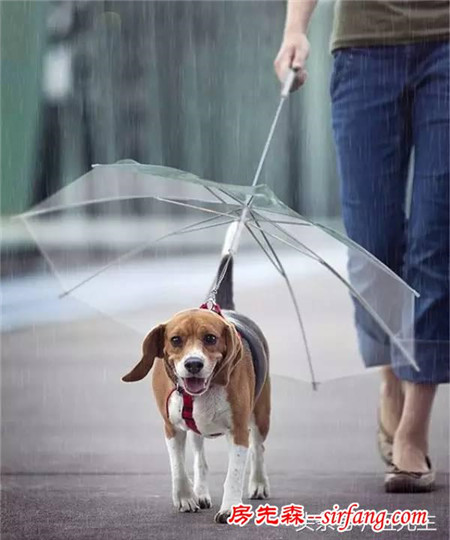 伞 坏 了 可 不 要 急 着 丢