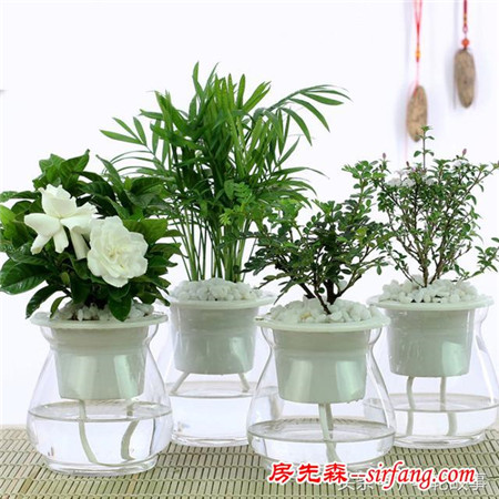 如果租来的房子是这样的！你还会攒钱买房吗？