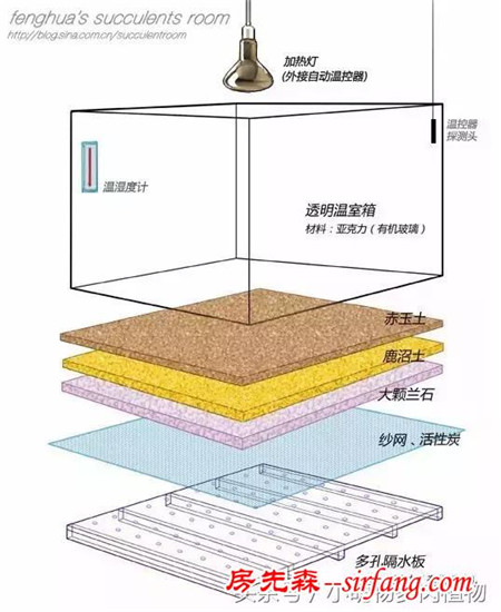 为了让多肉植物安全过冬，来看看肉友们是如何自制袖珍温室的