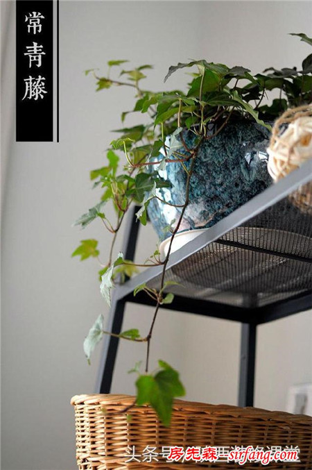 喜歡這樣的房子，安靜的感覺，沒那么多堆砌