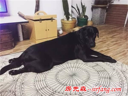 80后美女老師7天徒手爆改破舊民房，前后花了不到3000塊（內(nèi)附清單）