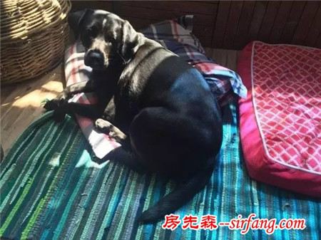 80后美女老師7天徒手爆改破舊民房，前后花了不到3000塊（內(nèi)附清單）
