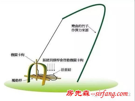 分享 几种野外求生实用技能