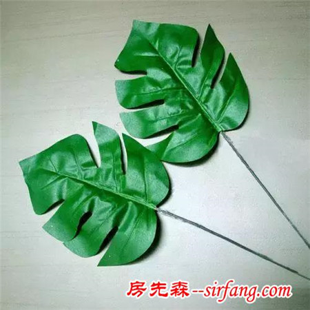 去除甲醛，我有妙招！