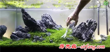 家居水景丨单纯的石景缸造景开缸过程欣赏